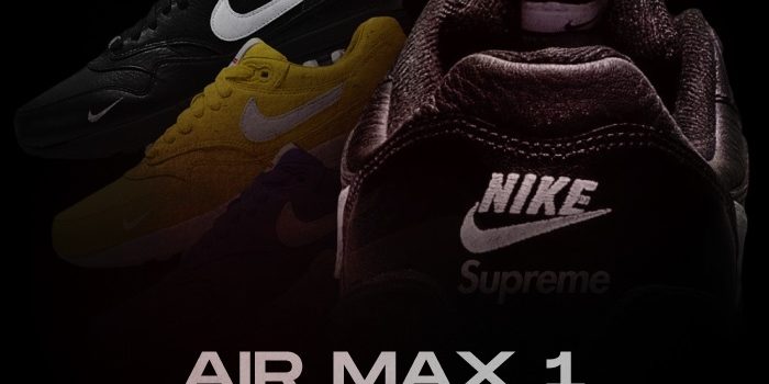 Supreme Air Max 1 NSB