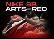 arts-rec nike SB collab NSB
