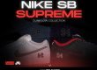 Supreme Nike SB Dunk Low NSB