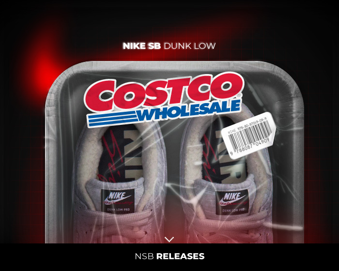 COSTCO Nike SB Dunk Low NSB