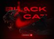 Jordan 4 Black Cat NSB