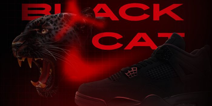 Jordan 4 Black Cat NSB