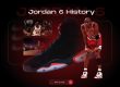 Air Jordan 6 History NSB