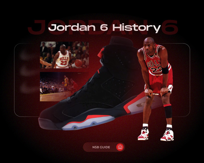Air Jordan 6 History NSB