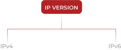 IP Version