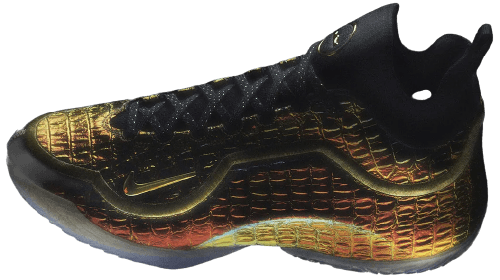 Nike All-Star Warning Label Lebron 23