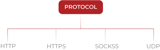 Protocol