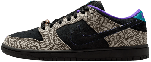 Dashawn Jordan Nike SB Dunk Low NSB