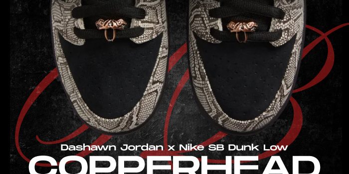 Dashawn Jordan Nike SB Dunk NSB