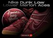 Kobe Bryant Nike Dunk Low Lower Merion Aces NSB
