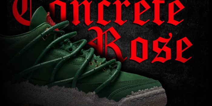 Teyana Taylor Jordan 3 Concrete Rose NSB