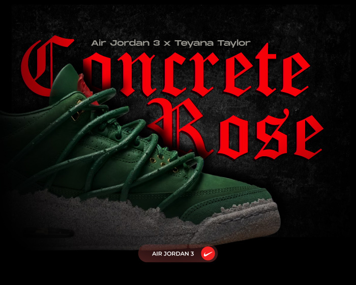 Teyana Taylor Jordan 3 Concrete Rose NSB