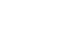 Nigel Sylvester Logo
