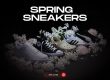 Spring Sneakers NSB