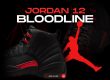 Jordan 12 Bloodline NSB