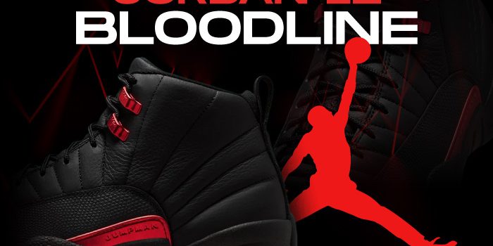 Jordan 12 Bloodline NSB