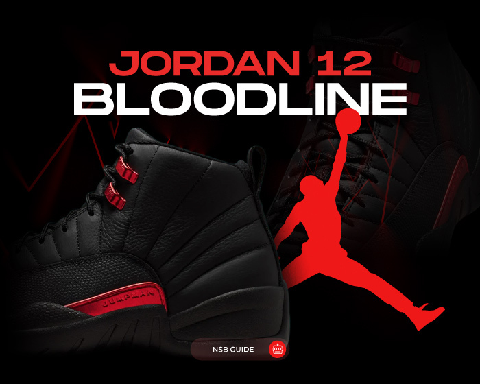 Jordan 12 Bloodline NSB