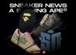 Sneaker News Bape STA Collab NSB