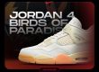 Jordan 4 Birds of Paradise NSB