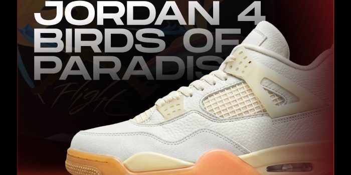 Jordan 4 Birds of Paradise NSB Jordan 4 Birds of Paradise NSB