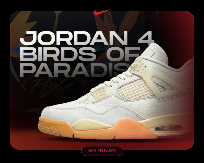 Jordan 4 Birds of Paradise NSB