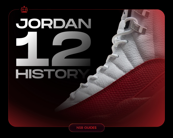 Jordan 12 History NSB